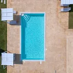 Lodge Aris